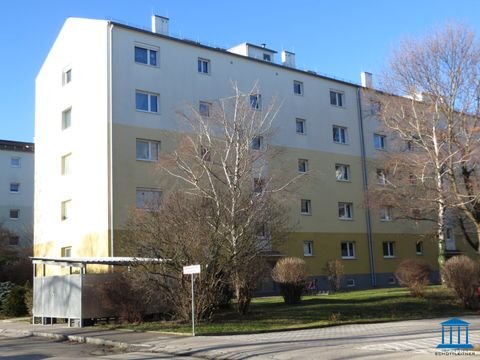 Wiener Neustadt Wohnungen, Wiener Neustadt Wohnung mieten