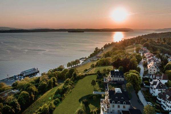 Perspektive Südost mit Bäumen.jpg