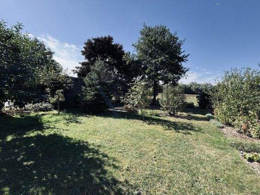 Impressionen Garten II