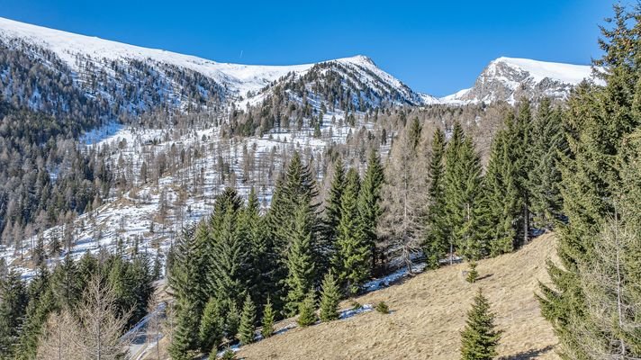 KITZIMMO-exklusives Almchalet 1 in Toplage kaufen - Immobilien Falkertsee Kärnten.