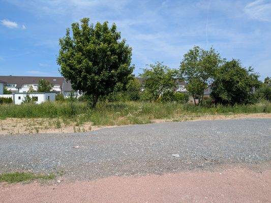 PXL_20250617_124008446.MP (2).jpg