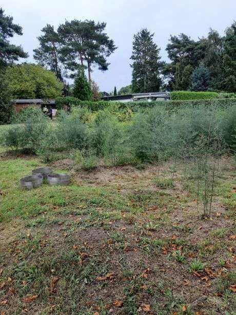 Ludwigsfelde Grundstücke, Ludwigsfelde Grundstück kaufen