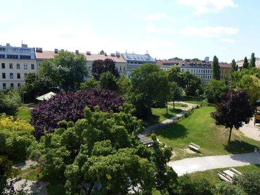 Ausblick auf Park