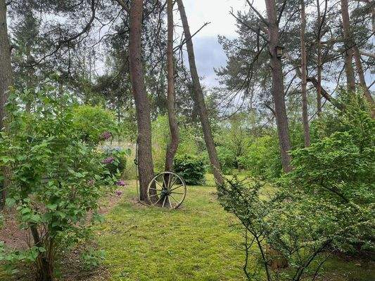 Blick aus dem Wohnzimmer