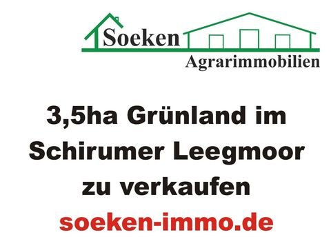 Aurich Bauernhöfe, Landwirtschaft, Aurich Forstwirtschaft