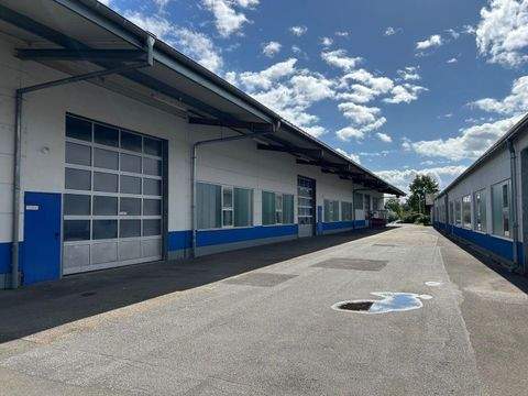 Gersheim Halle, Gersheim Hallenfläche