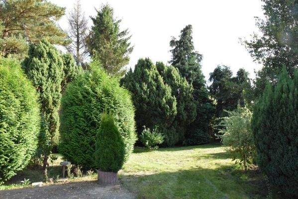 A142_Haus_Zarnewanz5