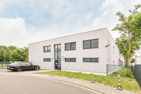 Teltow Halle, Teltow Hallenfläche