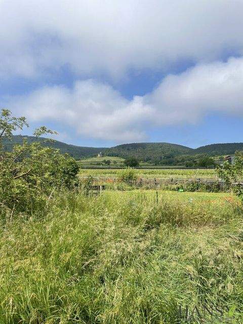 Sooß Grundstücke, Sooß Grundstück kaufen