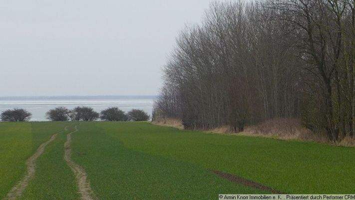 rechts ist die Verkaufsfläche