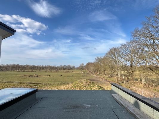 Ausblick
