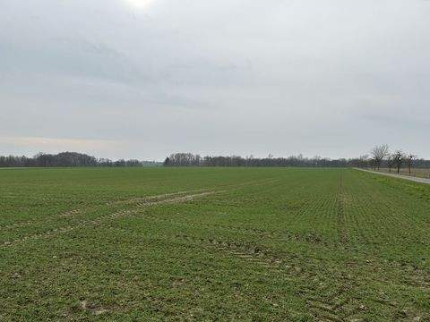 Bassum Bauernhöfe, Landwirtschaft, Bassum Forstwirtschaft