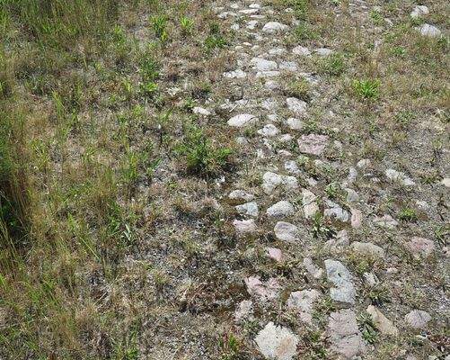 gepflasterte Wege rund um's H.