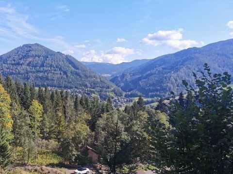 Spital am Semmering Grundstücke, Spital am Semmering Grundstück kaufen