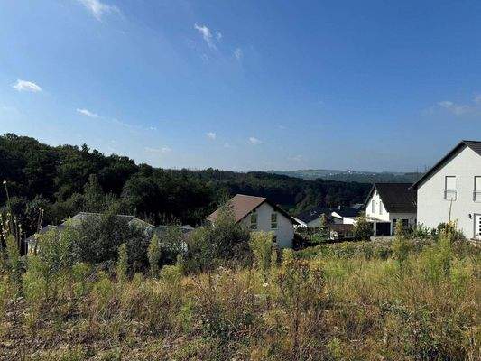 Grundstück untere Reihe Aug 24 (2).jpg