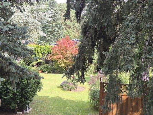 Blick in den Garten