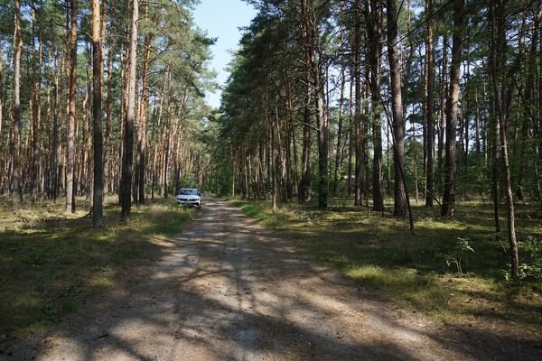 Auf dem Weg vorne (7).JPG
