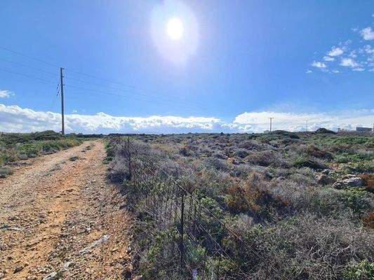 Kreta, Stavros: Riesiges Grundstück in Strandnähe zu verkaufen