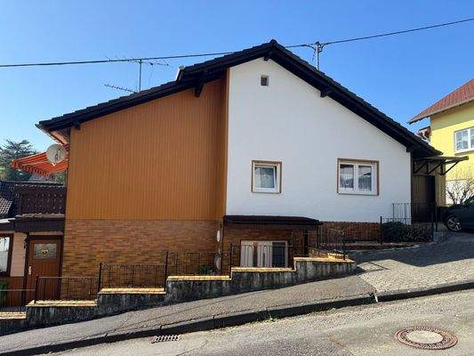 Eingang und Zufahrt Garage