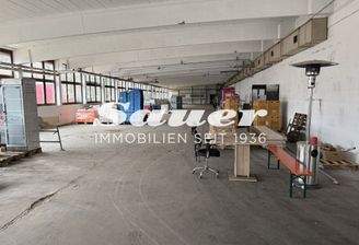 Innenansicht Lager/Produktion