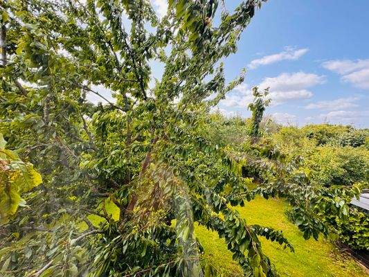 Blick aus dem Kinderzimmer