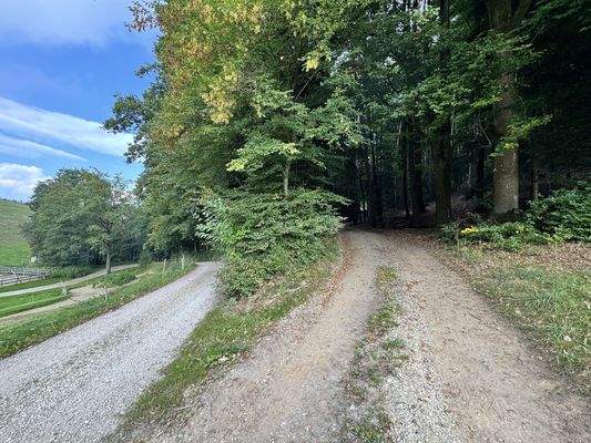 Perfekt zum Ausreiten