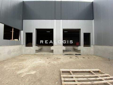 Mühldorf am Inn Halle, Mühldorf am Inn Hallenfläche