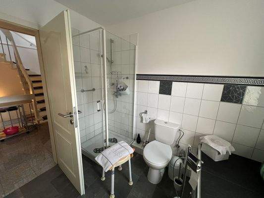 DG Tageslichtvollbad Dusche