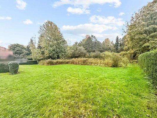 Ausblick in den Garten