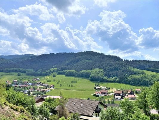 Bild5