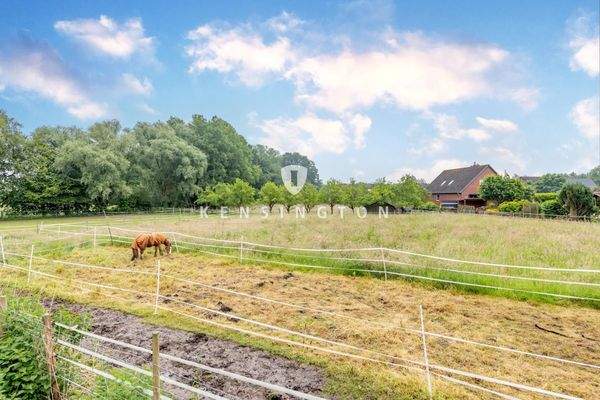 **Pferdeweide_KBR_393