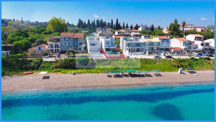 d1f493587a1c4aedad3d56ac0601ae35-original