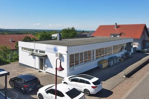 Malsch Halle, Malsch Hallenfläche