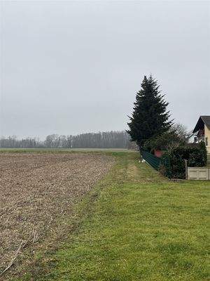 Hinterer Zufahrtsweg