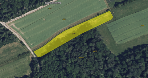 Niederstetten Bauernhöfe, Landwirtschaft, Niederstetten Forstwirtschaft