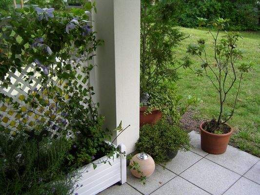 PHOTO-2025-11-21-12-44-05