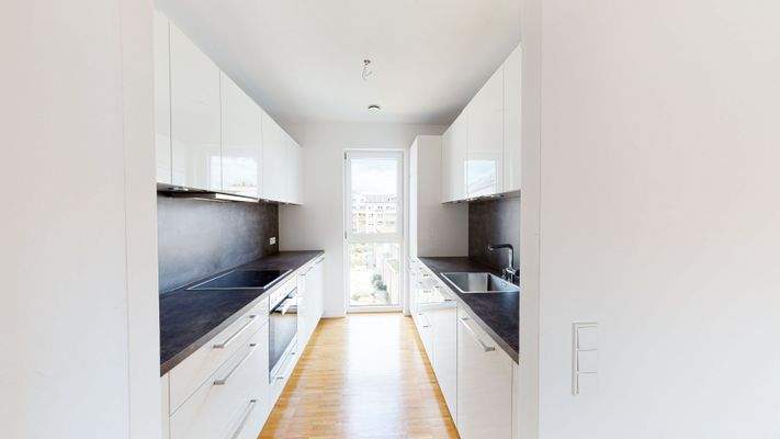 Moderne Einbauküche