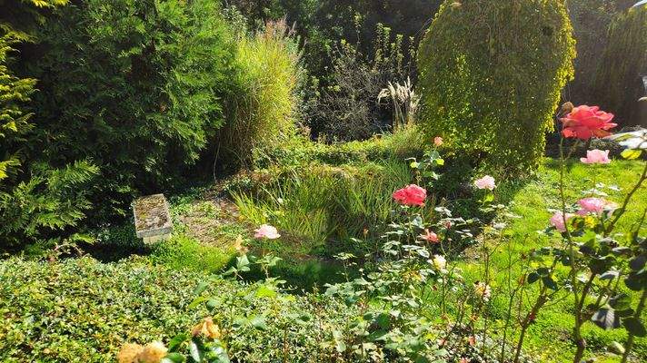 Gartenteich mit Bank