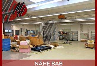 INFOS UNTER: 06171-586000