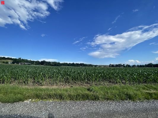 Aussicht auf gegenüberliegenden Acker