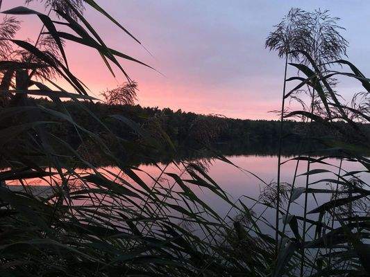 Sonnenuntergang vom Steg