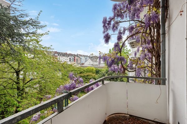 Balkon / Aussicht