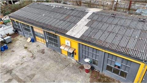 Dortmund Halle, Dortmund Hallenfläche