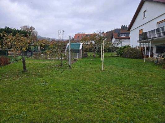 Garten / Baugrundstück