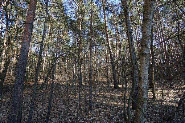 Auf dem Grundstück (9).jpg