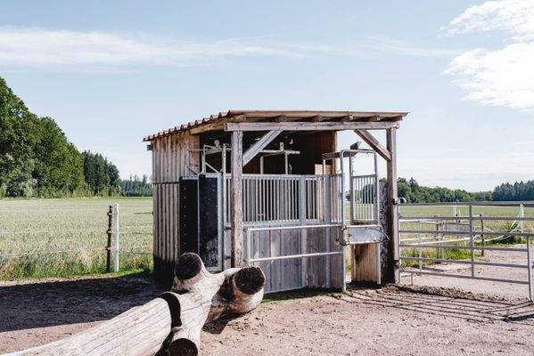 Aktivstall Computergesteuerte Fütterungsanlage_1