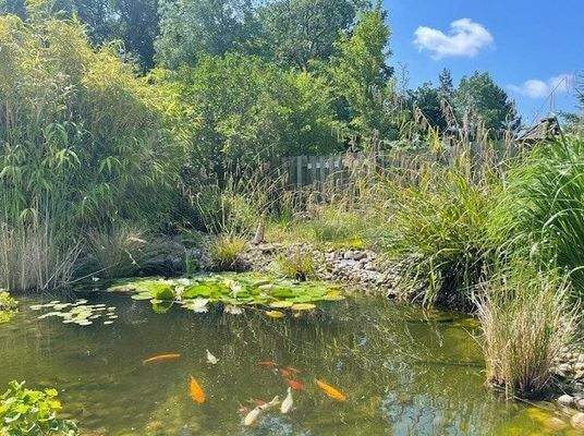 Gartenteich direkt an Terrasse