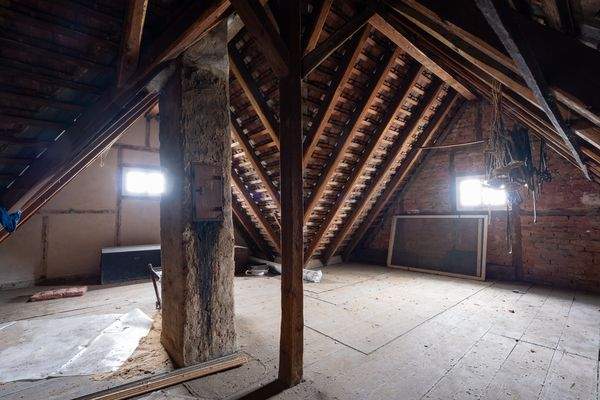 Groß (41 - DSC02846-Verbessert-RR).jpeg