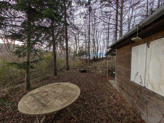 PXL_20251203_125005091