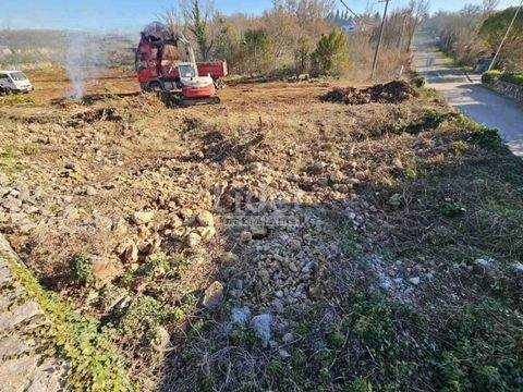 Vrh i Zapad Bauernhöfe, Landwirtschaft, Vrh i Zapad Forstwirtschaft